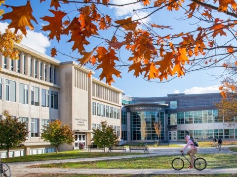 UMass Amherst – Executive Search Client Story